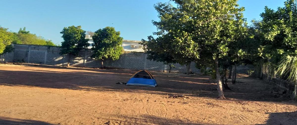 Foto de terreno habitacional en venta en  , el limón de los ramos, culiacán, sinaloa, 0 No. 03