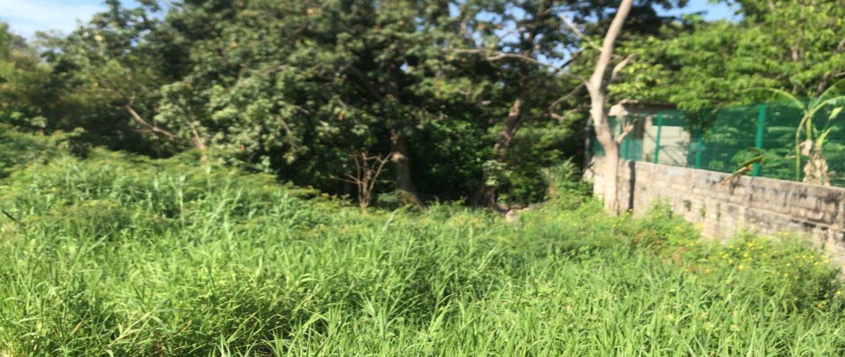 Foto de terreno habitacional en venta en  , el limón, paraíso, tabasco, 27776048 No. 04