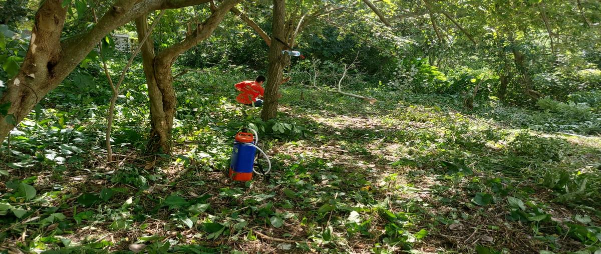 Foto de terreno habitacional en renta en  , el limón, paraíso, tabasco, 0 No. 05