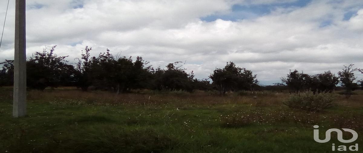 Foto de terreno habitacional en venta en el lindero , analco de ponciano arriaga (santa cruz analco), san salvador el verde, puebla, 30159062 No. 03