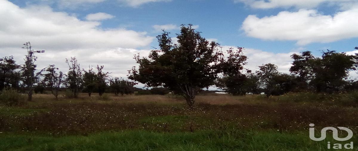 Foto de terreno habitacional en venta en el lindero , analco de ponciano arriaga (santa cruz analco), san salvador el verde, puebla, 30159062 No. 04