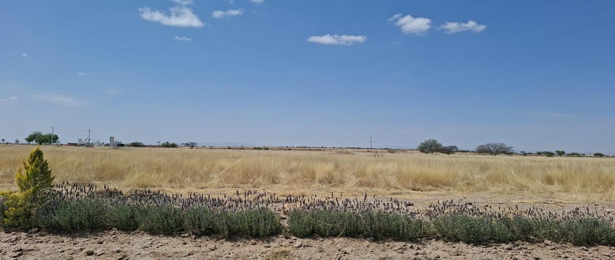 Foto de terreno habitacional en venta en  , el llano, jesús maría, aguascalientes, 30978915 No. 05