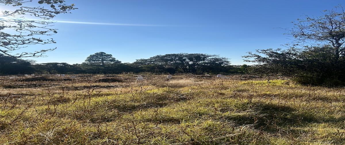 Foto de terreno habitacional en venta en el llano , san miguel buenavista, cuaxomulco, tlaxcala, 27499622 No. 03
