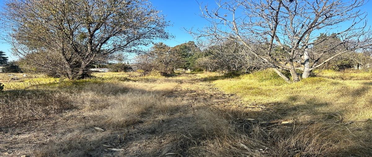 Foto de terreno habitacional en venta en el llano , san miguel buenavista, cuaxomulco, tlaxcala, 27499622 No. 04