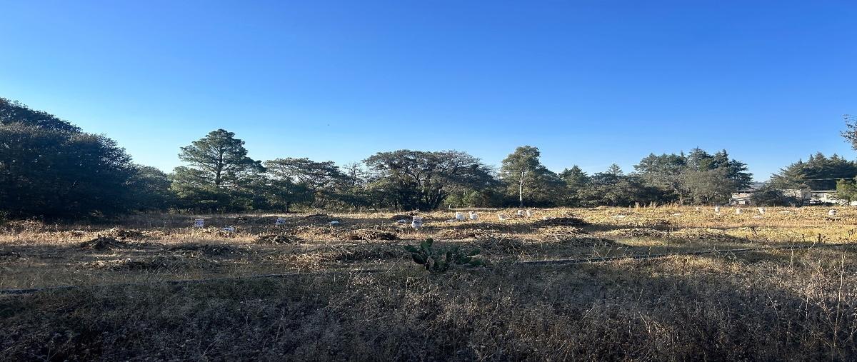 Foto de terreno habitacional en venta en el llano , san miguel buenavista, cuaxomulco, tlaxcala, 27499622 No. 05