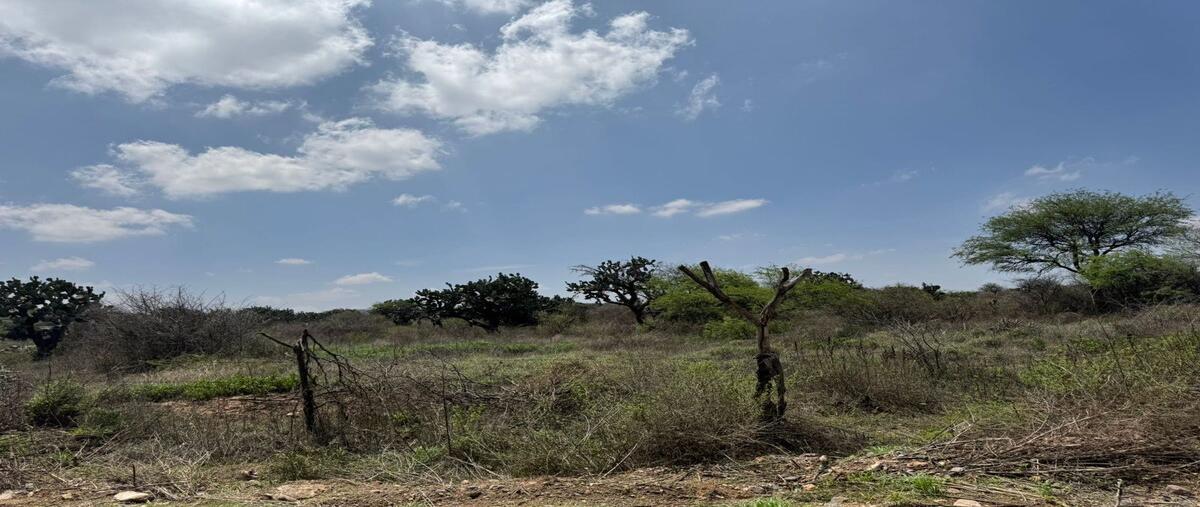 Foto de terreno habitacional en venta en  , el lobo, el marqués, querétaro, 29843394 No. 04