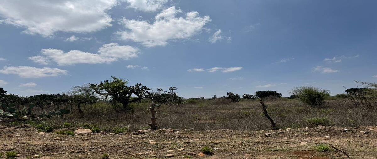 Foto de terreno habitacional en venta en  , el lobo, el marqués, querétaro, 29843394 No. 05