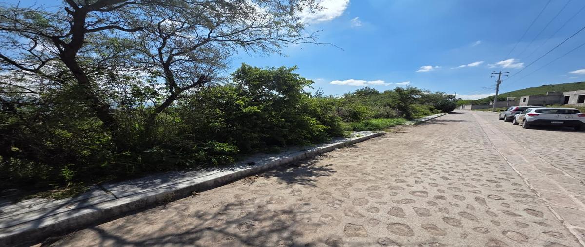 Foto de terreno habitacional en venta en  , el lobo, el marqués, querétaro, 0 No. 04