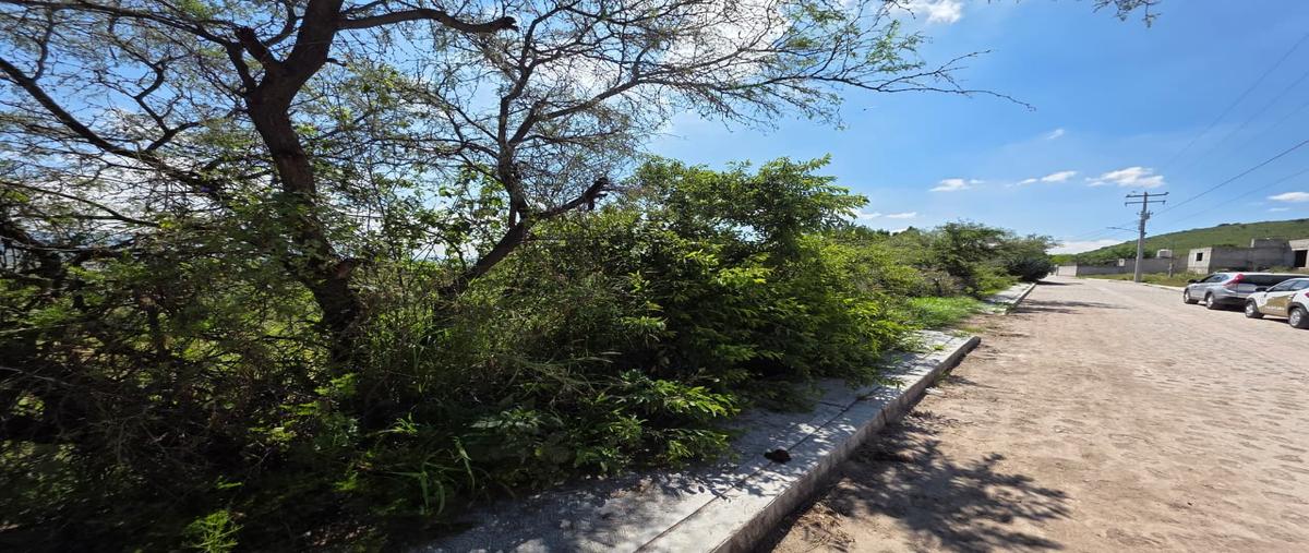 Foto de terreno habitacional en venta en  , el lobo, el marqués, querétaro, 0 No. 05