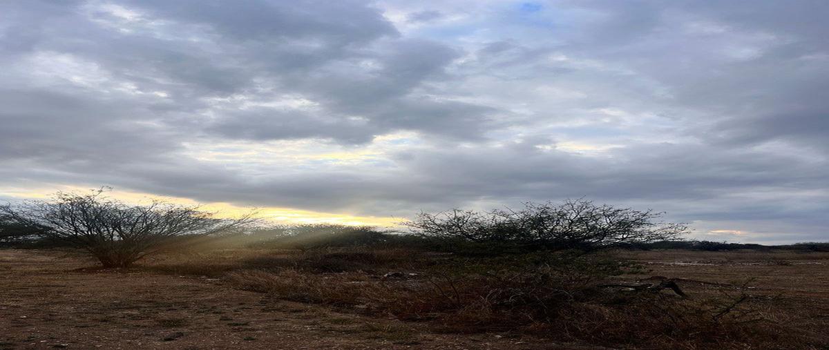 Foto de terreno habitacional en venta en el macehual , santuario de atotonilco, san miguel de allende, guanajuato, 0 No. 04