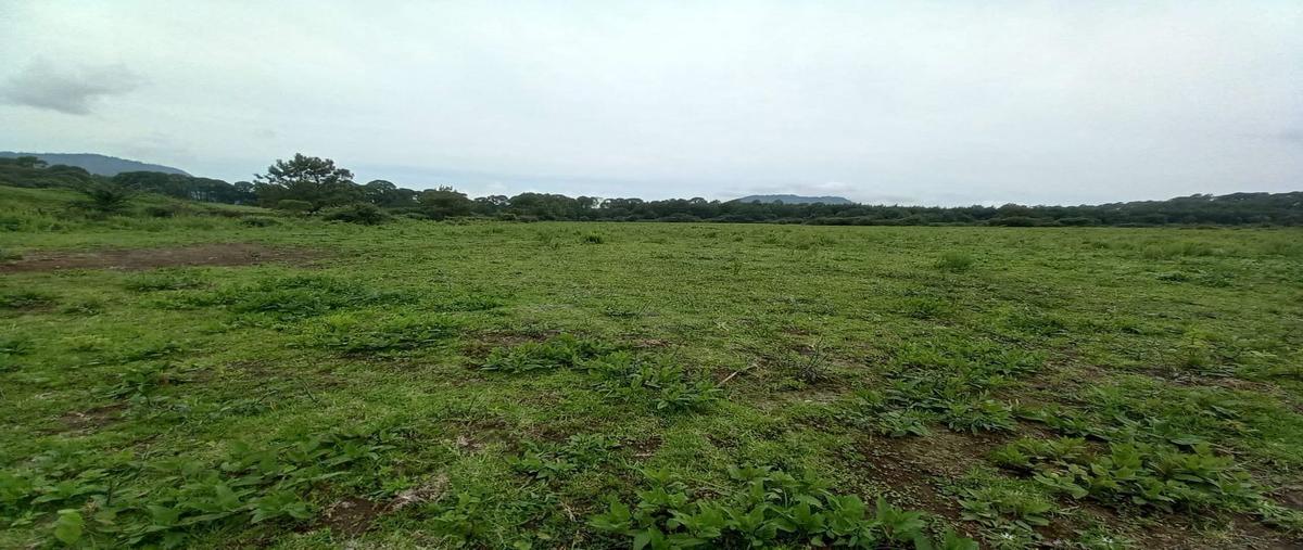 Foto de terreno habitacional en venta en  , el manzano, valle de bravo, méxico, 22103363 No. 03