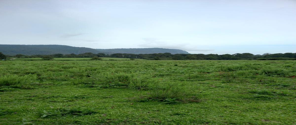 Foto de terreno habitacional en venta en  , el manzano, valle de bravo, méxico, 22103363 No. 04