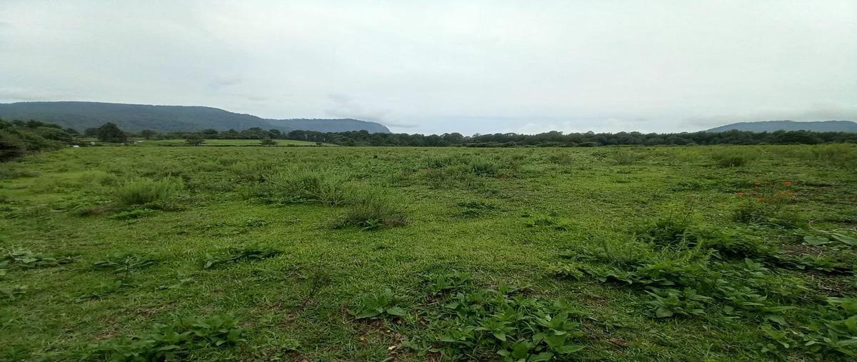 Foto de terreno habitacional en venta en  , el manzano, valle de bravo, méxico, 22103363 No. 05