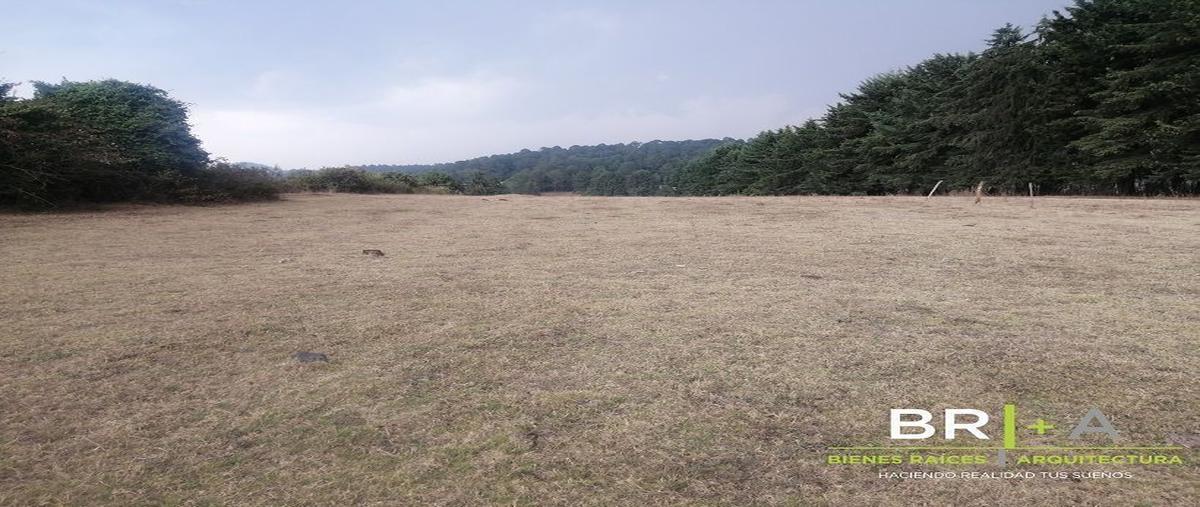Foto de terreno habitacional en venta en  , el manzano, valle de bravo, méxico, 24976064 No. 03
