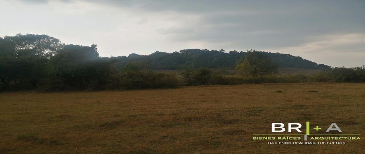 Foto de terreno habitacional en venta en  , el manzano, valle de bravo, méxico, 24976064 No. 05