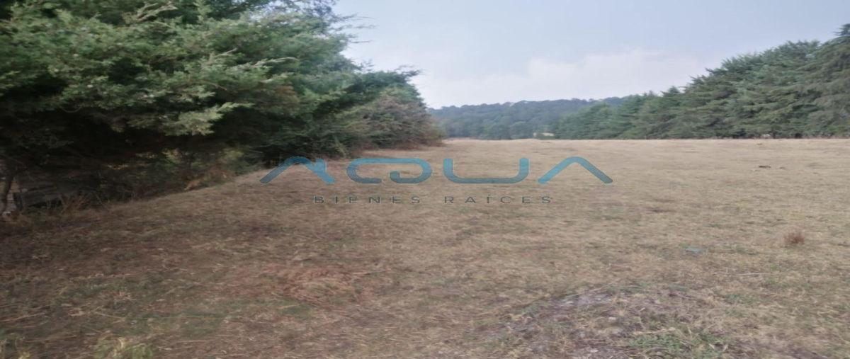 Foto de terreno habitacional en venta en  , el manzano, valle de bravo, méxico, 0 No. 04