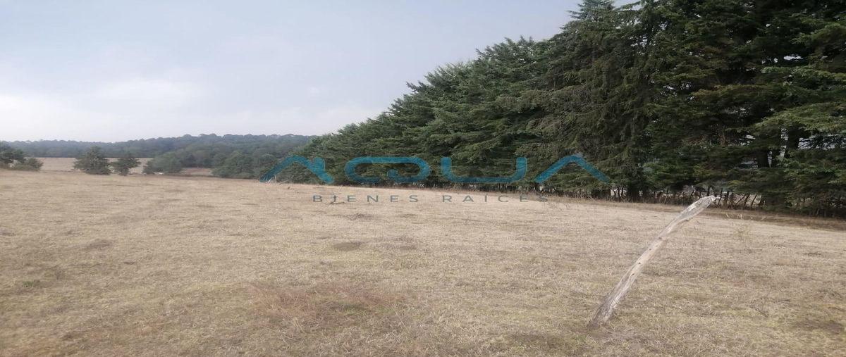 Foto de terreno habitacional en venta en  , el manzano, valle de bravo, méxico, 0 No. 05