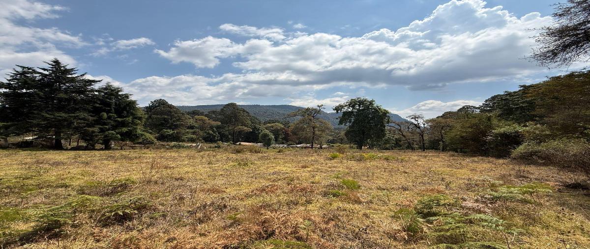 Foto de terreno habitacional en venta en  , el manzano, valle de bravo, méxico, 0 No. 03