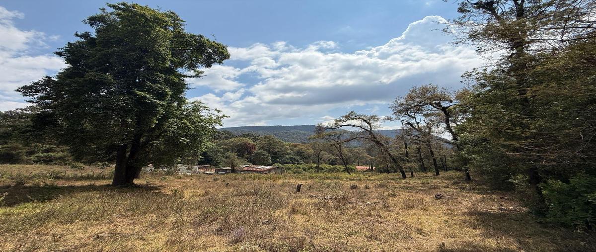 Foto de terreno habitacional en venta en  , el manzano, valle de bravo, méxico, 0 No. 04