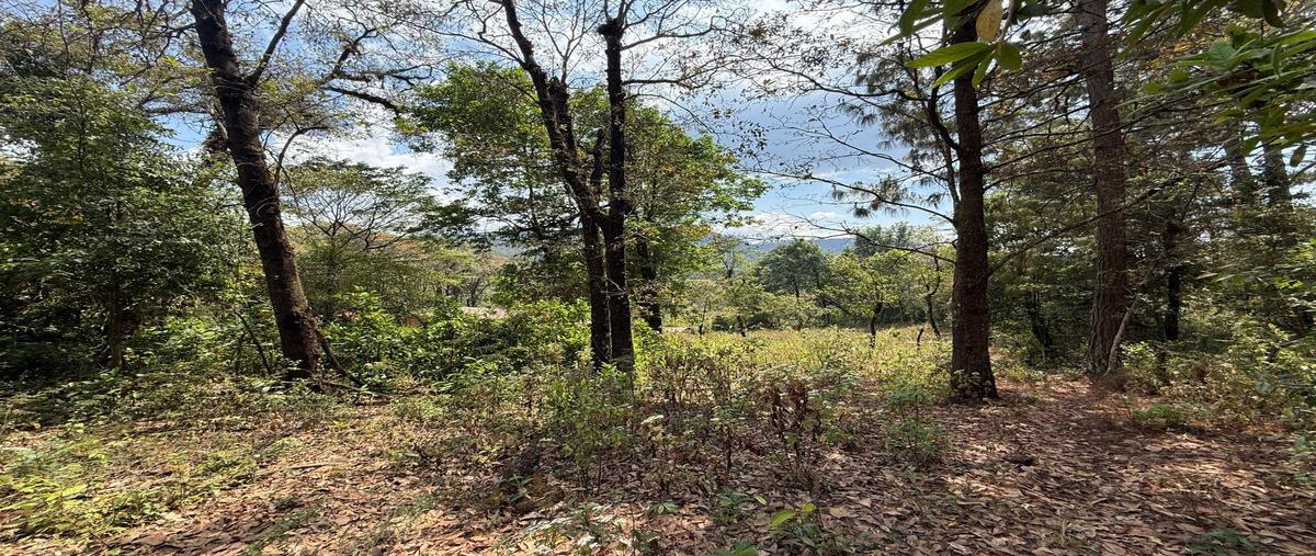 Foto de terreno habitacional en venta en  , el manzano, valle de bravo, méxico, 0 No. 05