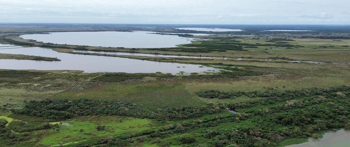 Foto de terreno habitacional en venta en el mediadero , alvarado centro, alvarado, veracruz de ignacio de la llave, 30818880 No. 05