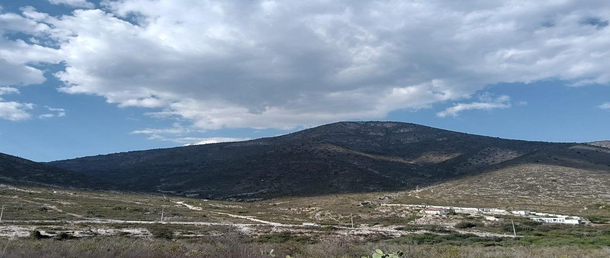 Foto de terreno industrial en venta en el mendoza , tepatepec centro, francisco i. madero, hidalgo, 0 No. 11