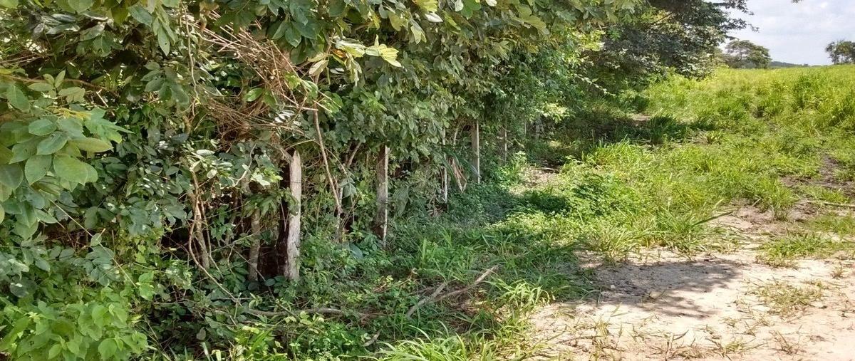 Foto de terreno habitacional en venta en  , el merente, candelaria, campeche, 0 No. 04