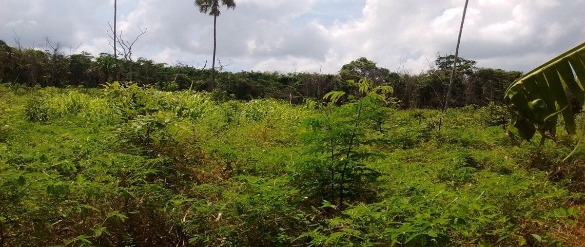 Foto de terreno habitacional en venta en  , el merente, candelaria, campeche, 0 No. 05