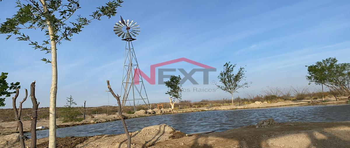 Foto de rancho en el mesteño 0, el mesteño, parras, coahuila de zaragoza, 0 foto 03 Foto de rancho en venta en el mesteño 0, el mesteño, parras, coahuila de zaragoza, 0 No. 03