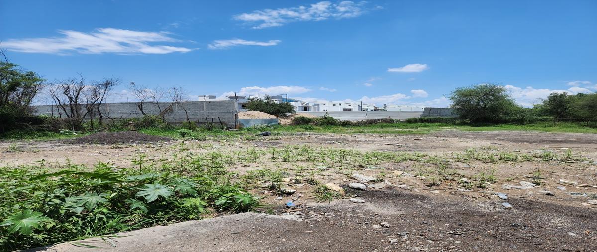 Foto de terreno habitacional en renta en  , el mezquital, apodaca, nuevo león, 27762164 No. 03