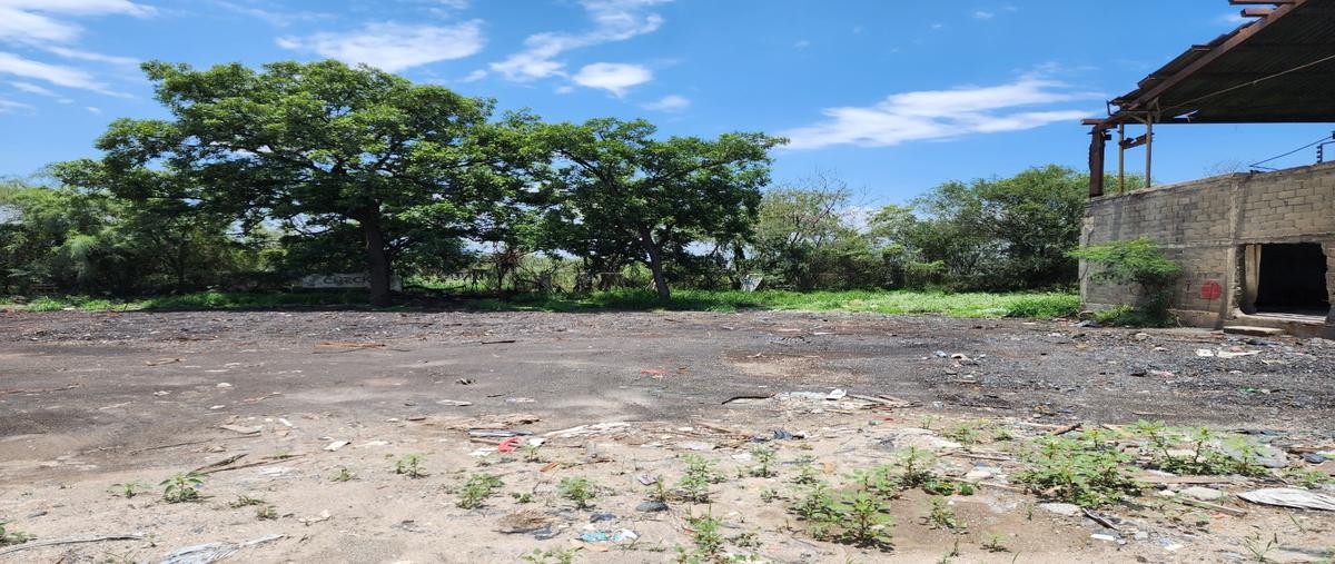 Foto de terreno habitacional en renta en  , el mezquital, apodaca, nuevo león, 27762164 No. 05