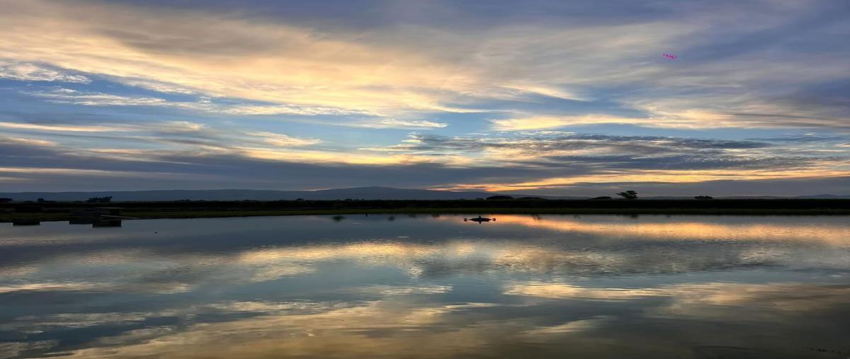 Foto de terreno habitacional en venta en  , el mezquite, ameca, jalisco, 29316027 No. 03