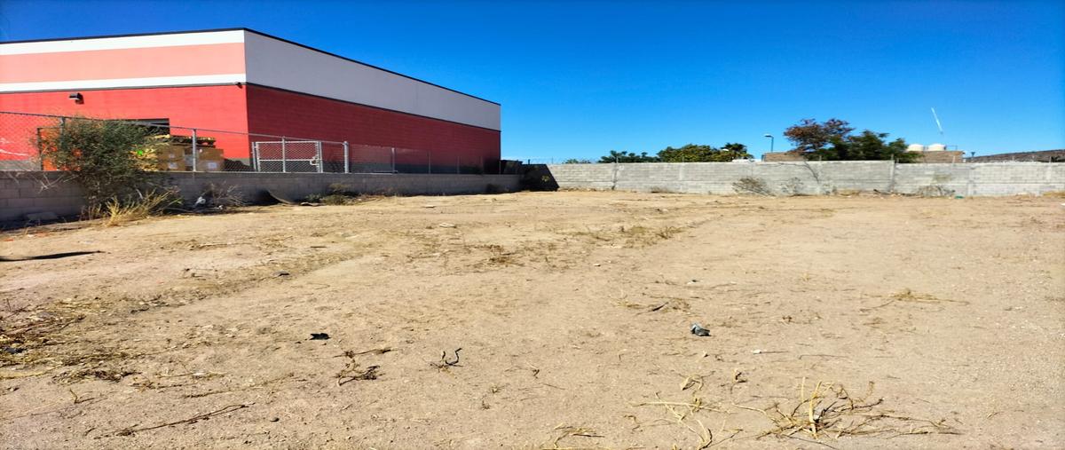 Foto de terreno habitacional en venta en el mezquitito whi299049, el mezquitito, la paz, baja california sur, 0 No. 05