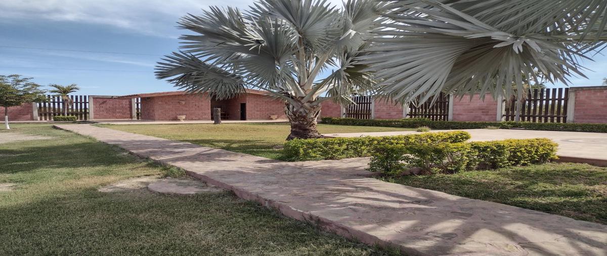 Foto de rancho en el mezquiton whi294523, el mezquitón, guasave, sinaloa, 0 foto 04 Foto de rancho en venta en el mezquiton whi294523, el mezquitón, guasave, sinaloa, 0 No. 04