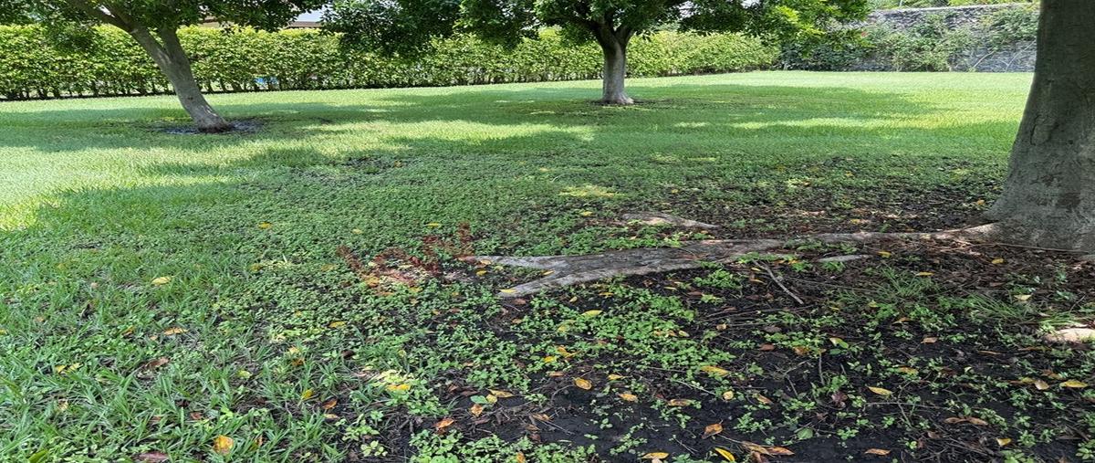 Foto de terreno habitacional en venta en el michate , oacalco, yautepec, morelos, 30701401 No. 03