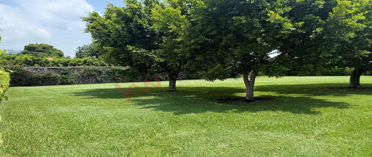 Foto de terreno habitacional en venta en el michate , oacalco, yautepec, morelos, 30701401 No. 05