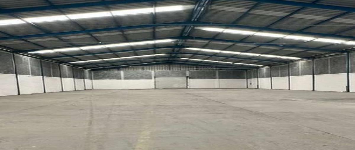 Foto de bodega en renta en  , el milagro, apodaca, nuevo león, 28400928 No. 03