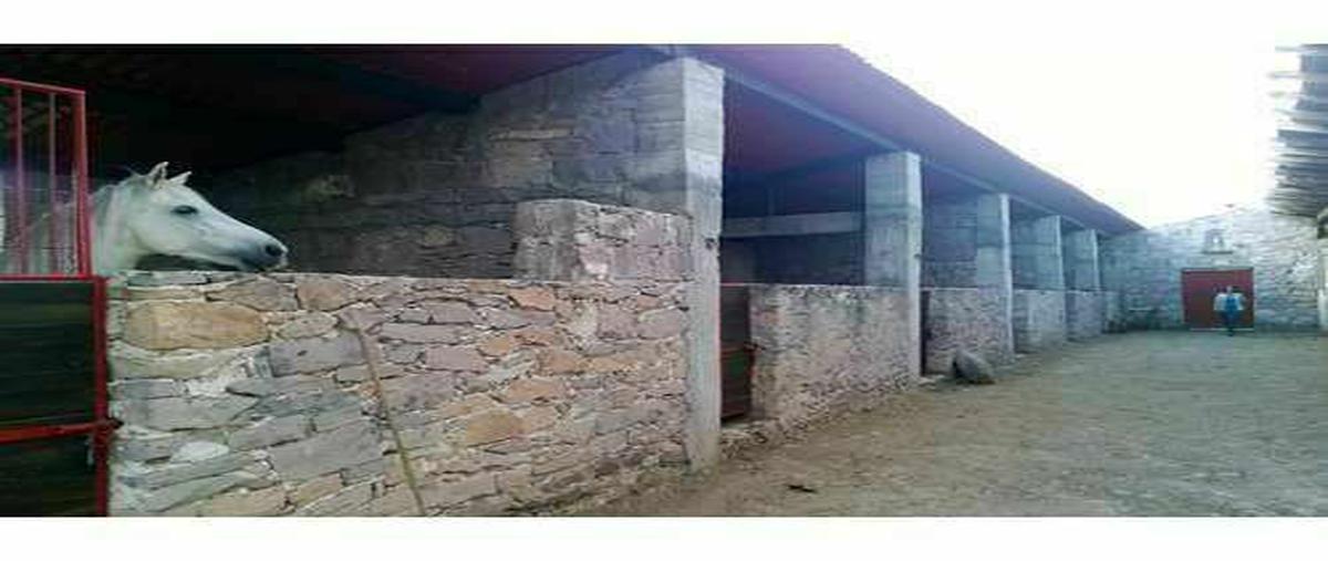 Foto de rancho en venta en el milagroranchería santa nataliacomunidad de el zorrillo , piedras lisas, huimilpan, querétaro, 21528571 No. 04
