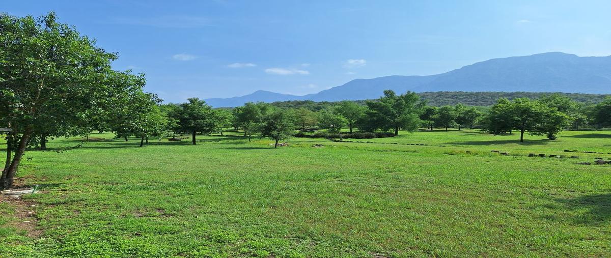 Foto de terreno habitacional en venta en el mimbre , raíces, montemorelos, nuevo león, 0 No. 03