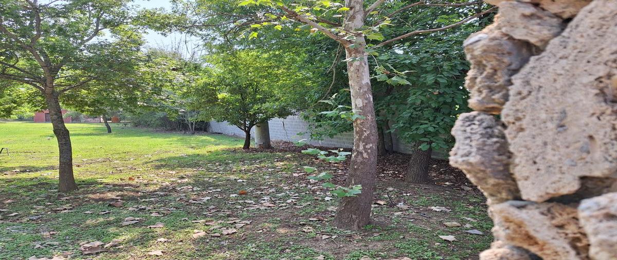 Foto de terreno habitacional en venta en el mimbre , raíces, montemorelos, nuevo león, 0 No. 04