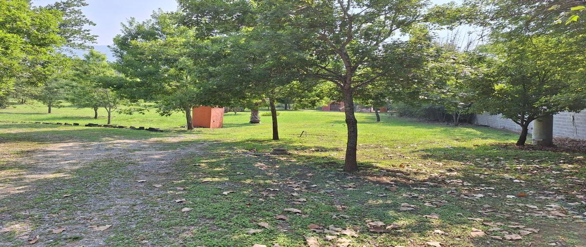 Foto de terreno habitacional en venta en el mimbre , raíces, montemorelos, nuevo león, 0 No. 05