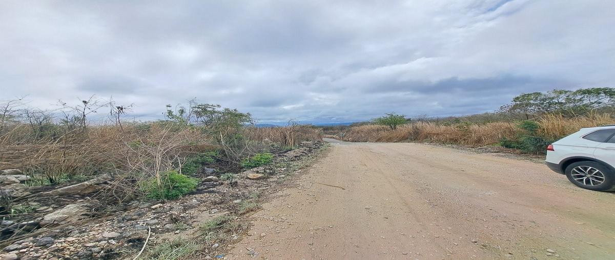 Foto de terreno habitacional en venta en el mirador , el mirador, berriozábal, chiapas, 0 No. 04