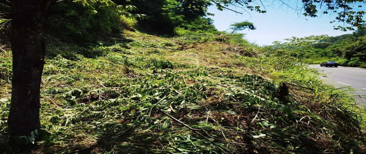 Foto de terreno habitacional en venta en el mirador , marina ixtapa, zihuatanejo de azueta, guerrero, 26133927 No. 04