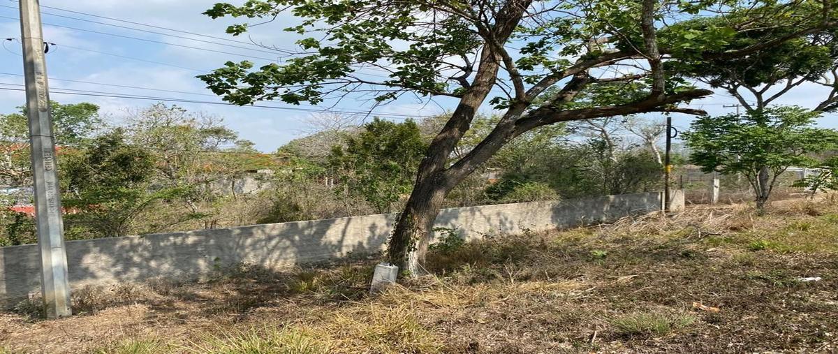 Foto de terreno habitacional en venta en  , el mirador, ocozocoautla de espinosa, chiapas, 0 No. 03