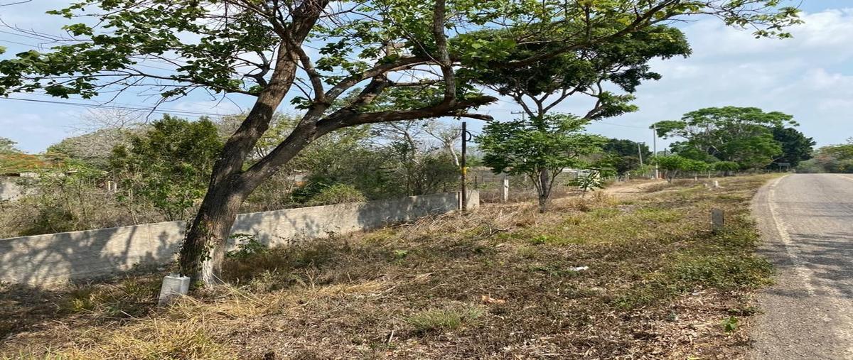 Foto de terreno habitacional en venta en  , el mirador, ocozocoautla de espinosa, chiapas, 0 No. 04