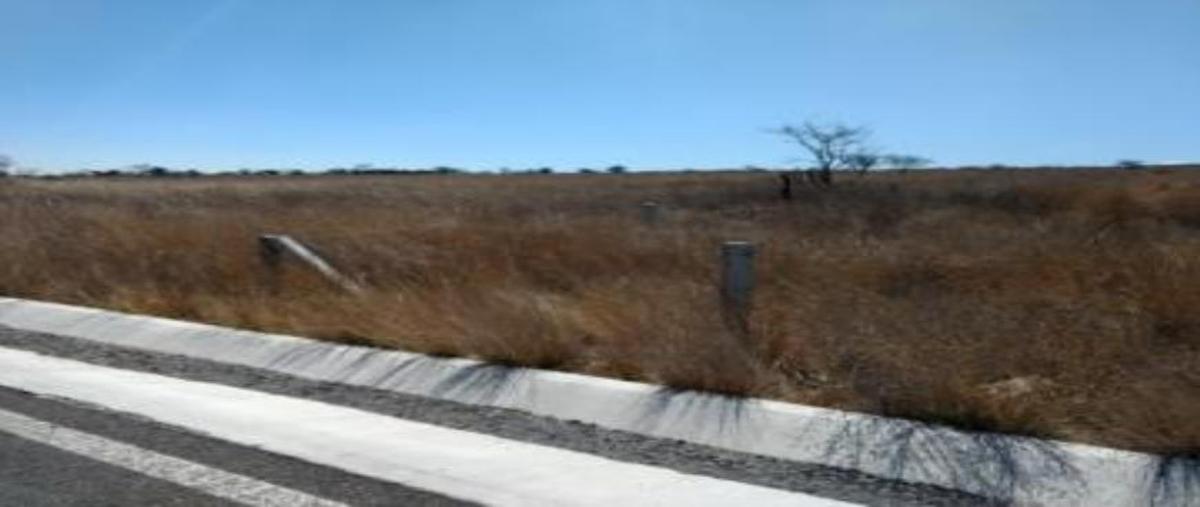 Foto de terreno habitacional en venta en  , el mirador, querétaro, querétaro, 0 No. 05