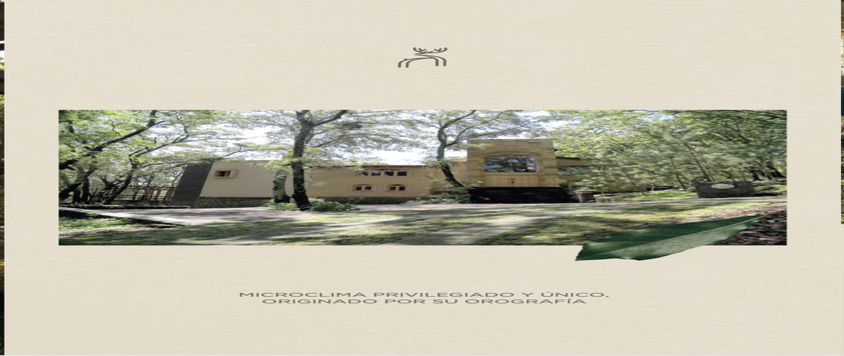 Foto de terreno habitacional en , el mirador, tala, jalisco, 29861540 foto 01 Foto de terreno habitacional en venta en , el mirador, tala, jalisco, 29861540 No. 01