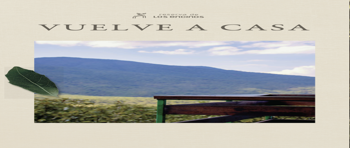 Foto de terreno habitacional en , el mirador, tala, jalisco, 29861540 foto 03 Foto de terreno habitacional en venta en , el mirador, tala, jalisco, 29861540 No. 03