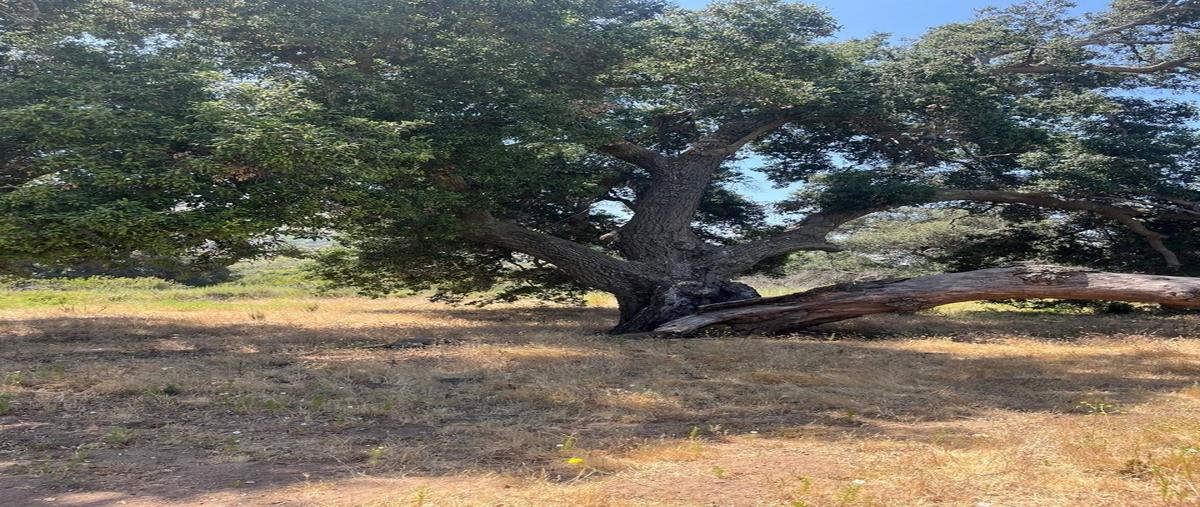 Foto de terreno habitacional en venta en  , el mirador, tecate, baja california, 0 No. 05