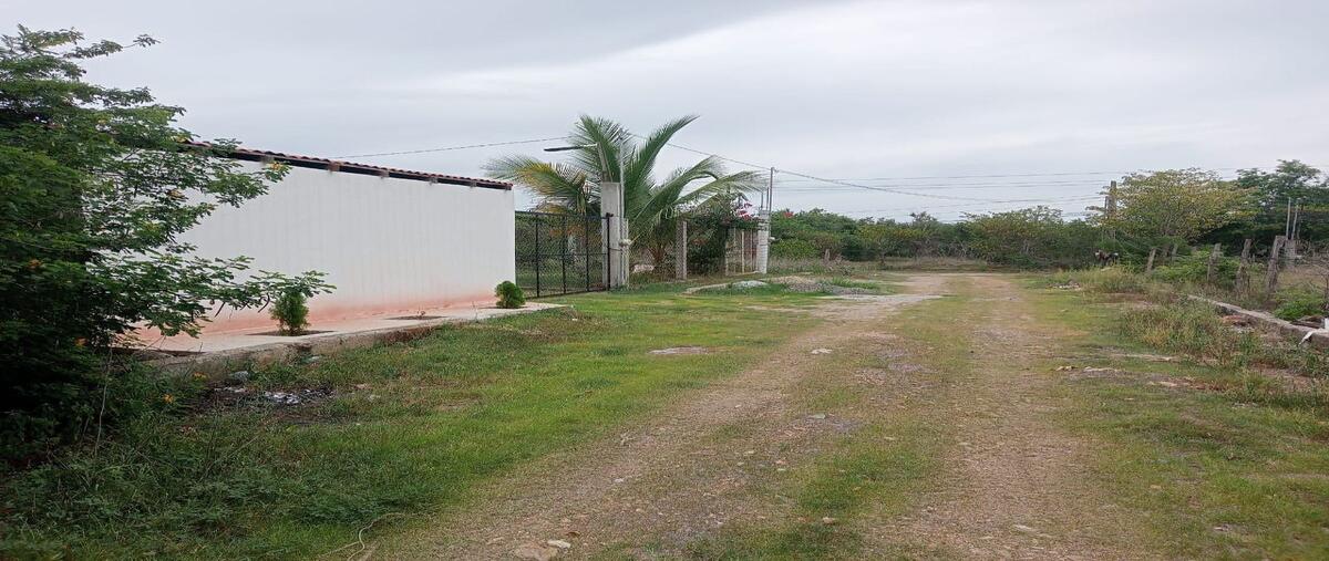 Foto de terreno habitacional en venta en  , el mirador, zihuatanejo de azueta, guerrero, 0 No. 04